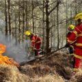 The fire affected a huge area of woodland Picture: Hampshire & Isle of Wight Fire & Rescue Service