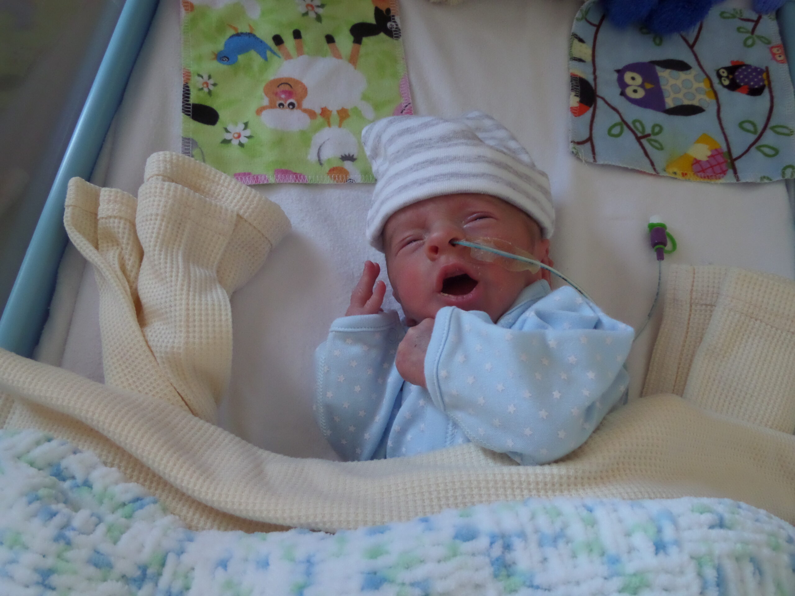 Noah on the neonatal unit Picture: The Stars Appeal