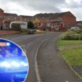 Police are appealing for witnesses Picture: Google