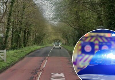 Two children were also taken to hospital for treatment Picture: Google