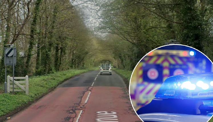 Two children were also taken to hospital for treatment Picture: Google