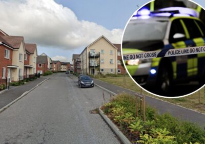 Darren Hughes was found dead at a property in Davies Road, Longhedge. Picture: Google