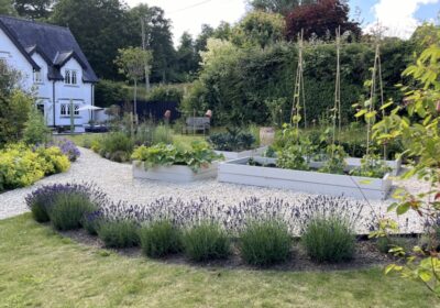 The garden is opening in August Picture: NGS