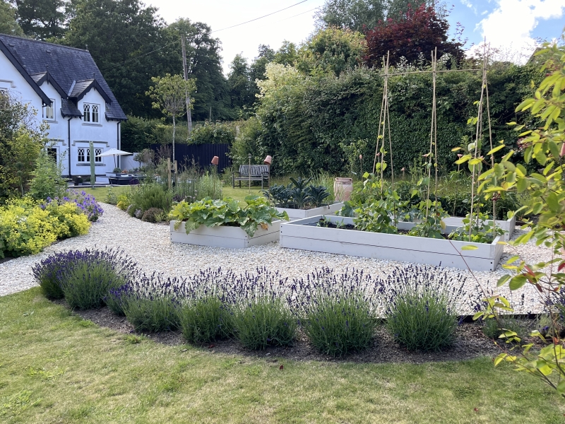 The garden is opening in August Picture: NGS
