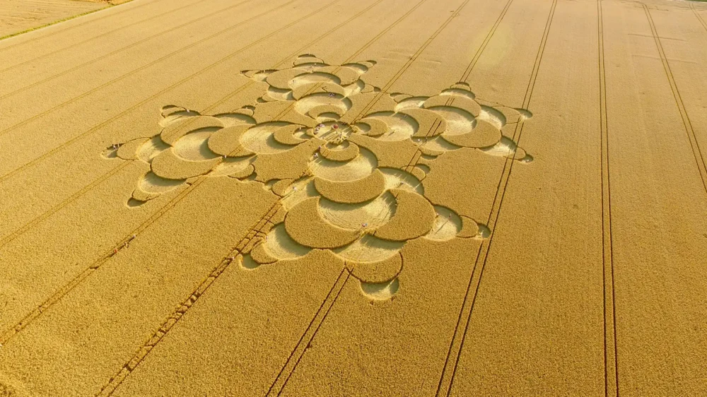 Crop circles have been reported as appearing in the Wiltshire countryside. Picture: Unsplash