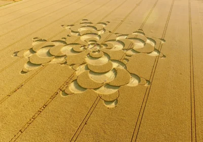 Crop circles have been reported as appearing in the Wiltshire countryside. Picture: Unsplash