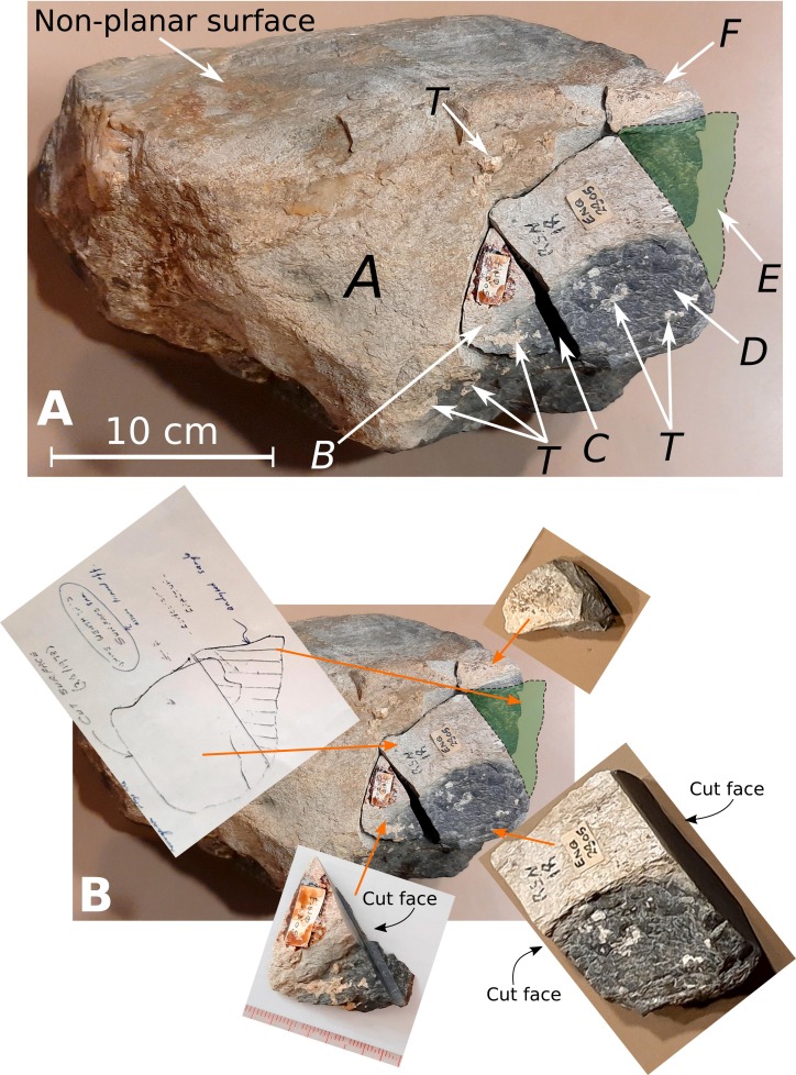 The Newall boulder Picture: R.E. Bevins/Journal of Archeological Science 