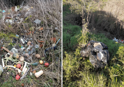 Similar incidents were reported in Warminster and Royal Wooten Bassett Pictures: Wiltshire Council