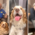 The cheery chappy brought lots of smiles to residents Pictures: Wilton Place Care Home