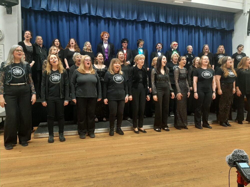 Fordingbridge Musical Theatre Choir members performing Picture: Fordingbridge Musical Theatre Choir
