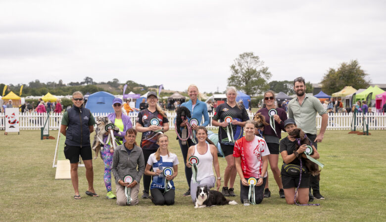 Laura and Endeavour (front middle) and other qualifiers Picture: The Kennel Club