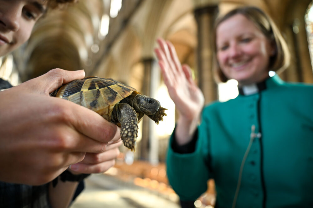Last year's service saw more than 200 people attend Picture: Finnbarr Webster