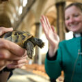 Last year's service saw more than 200 people attend Picture: Finnbarr Webster