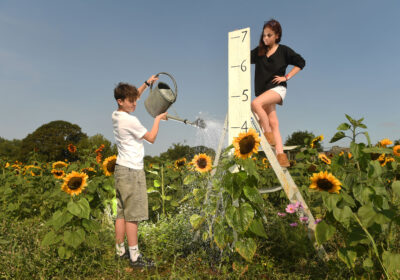 Stella Stefanini (12) and Kayden Johnstone (13) take stock and give a boost to some of the Sunflowers at the Picking Patch Picture: Russell Sach
