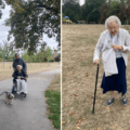 The care home said residents "really enjoyed" their day out Picture: Wilton Place