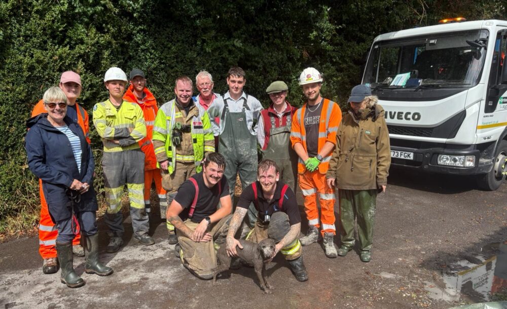 A suitably muddy Ruby with her rescuers Picture: Wiltshire Council