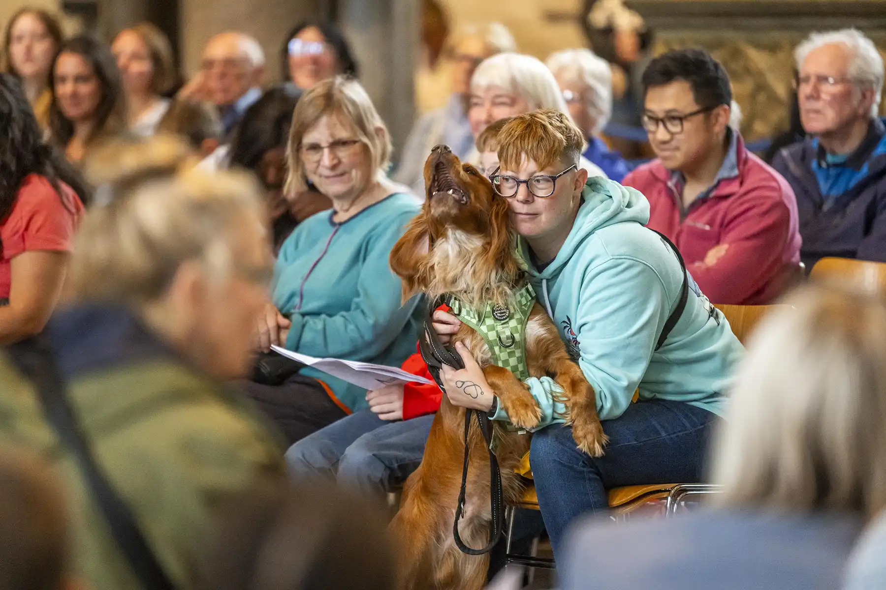 Hundreds of pets were blessed at Salisbury Cathedral. Pictures: Max Willcock