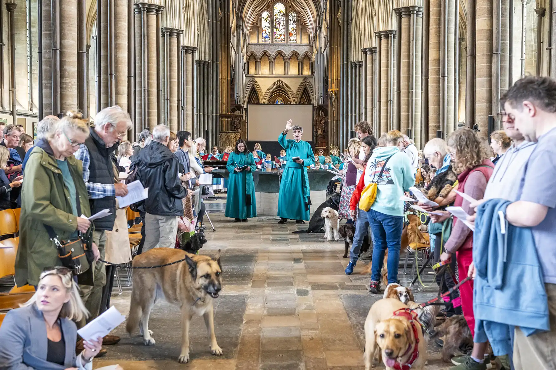 Hundreds of pets were blessed at Salisbury Cathedral. Pictures: Max Willcock