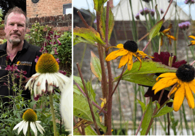 The nursery was created by the award-winning garden designer Robert Kennett Picture: Robert Kennett