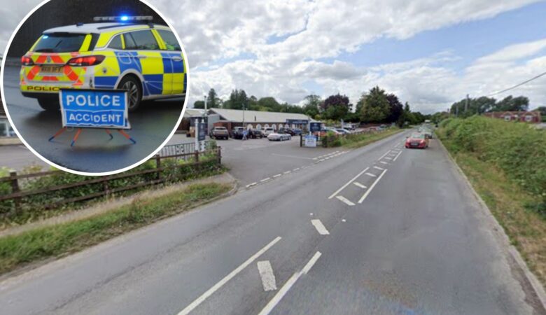 The crash happened outside Salisbury Garden Centre, in Netherhampton Road. Picture: Google
