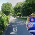 Police are keen to speak to any witnesses Picture: Google