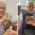 Residents holding a purple crab and a bullfrog Picture: The Cedars