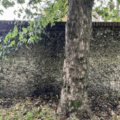 The wall is said to be leaning and poses a safety risk Picture: Salisbury City Council