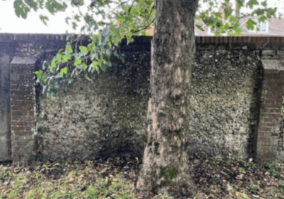 The wall is said to be leaning and poses a safety risk Picture: Salisbury City Council