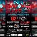 Nine acts are performing at the event Picture: Wilton Live
