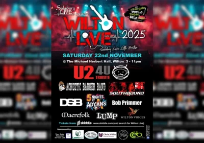 Nine acts are performing at the event Picture: Wilton Live