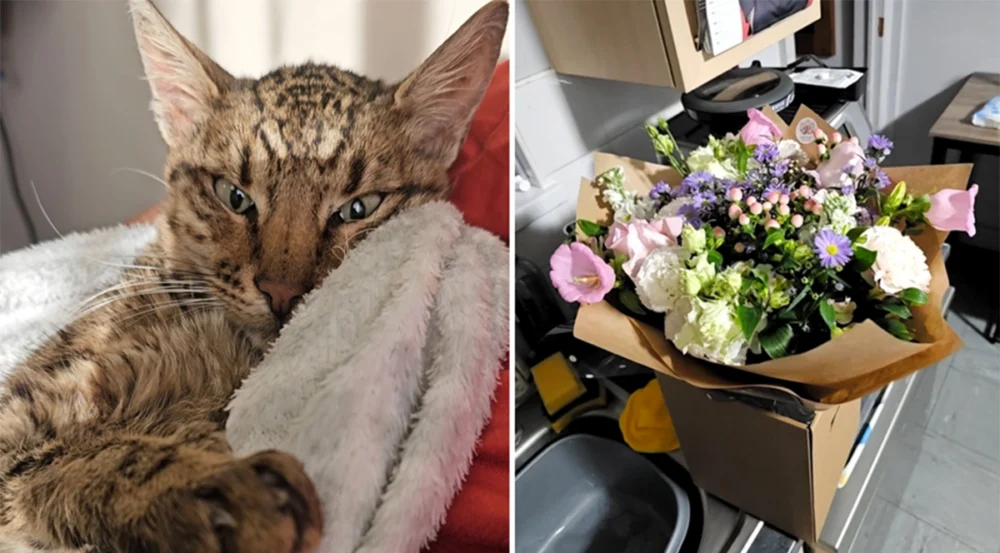 River, left, with the flowers sent to the rescue centre Pictures: Cat Watch Rescue Centre