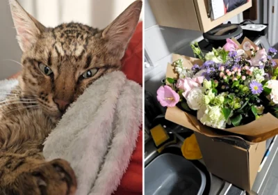 River, left, with the flowers sent to the rescue centre Pictures: Cat Watch Rescue Centre