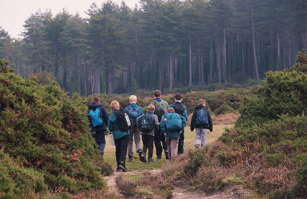 Scouts in the New Forest Picture: Mark Warner