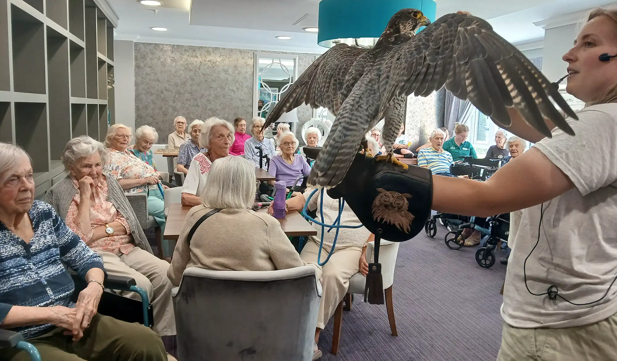 Birds of prey swoop on Salisbury care home