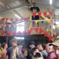 Grimsdyke Goose Fair is set to take place on August 2