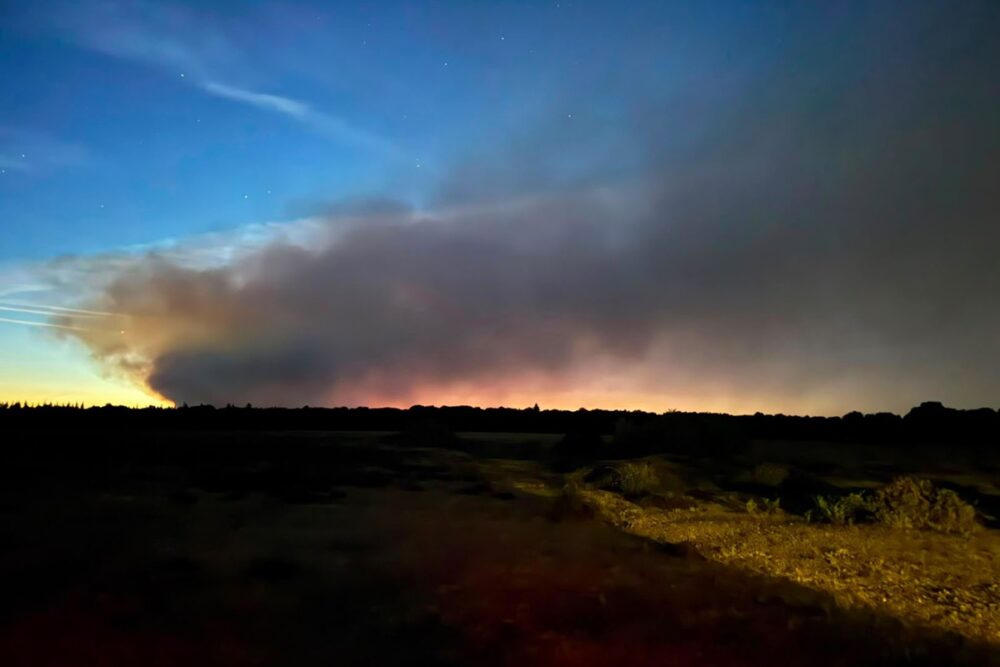 New Forest fire closes A31