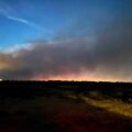 New Forest fire closes A31