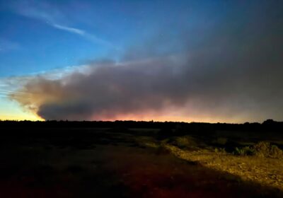 New Forest fire closes A31