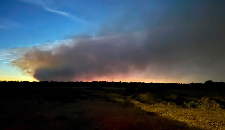 New Forest fire closes A31
