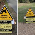 Two New Forest ponies had to be destroyed in one day after hit-and-run collisions. Picture: New Forest Roads Awareness