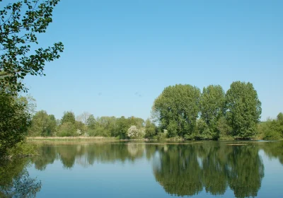 An appeal has been launched to improve Langford Lakes, near Salisbury. Picture: WWT